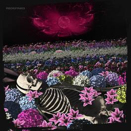 Dead Rabbitts - Redefined - VINYL LP