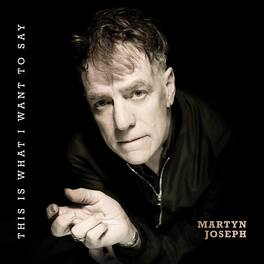 Martyn Joseph - This Is What I Want to Say - VINYL LP