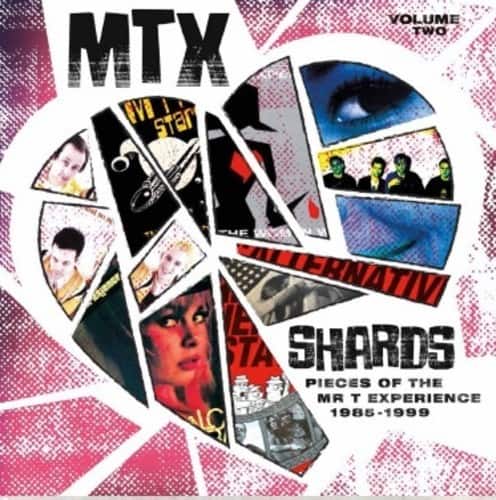 Mr T Experience - Shards Vol. 2   - VINYL LP price history on PriceWatchPro