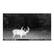 STEALTH CAM Z4
08:44PM 06/10/2024 78°F
REVOLVER