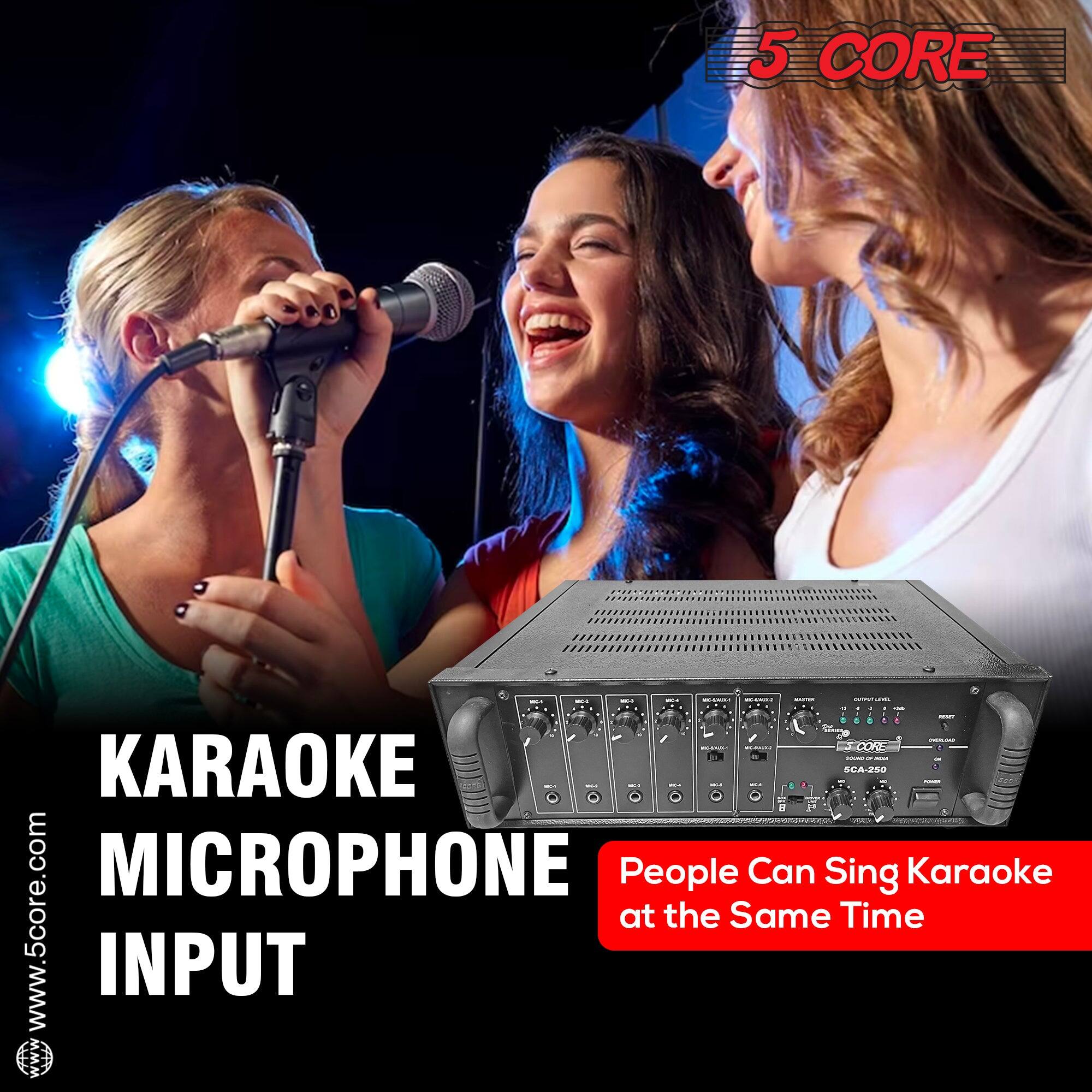 5 CORE

KARAOKE MICROPHONE INPUT

People Can Sing Karaoke at the Same Time

www.5core.com