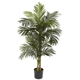 BreeBe - 5' Golden Cane Palm Tree x 2 w/18 Lvs - Multicolor