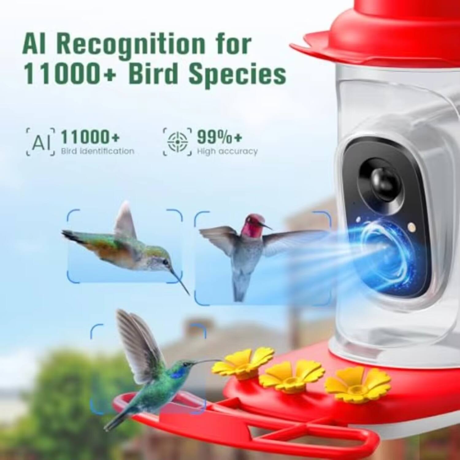 AI Recognition for 11000+ Bird Species  
11000+ Bird Identification  
99%+ High Accuracy