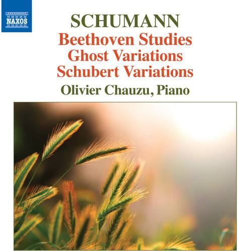 Schumann,Robert / Chauzu,Olivier - Beethoven Studies Ghost Variations & Schubert Variations   - COMPACT DISCS [CD] price history on PriceWatchPro