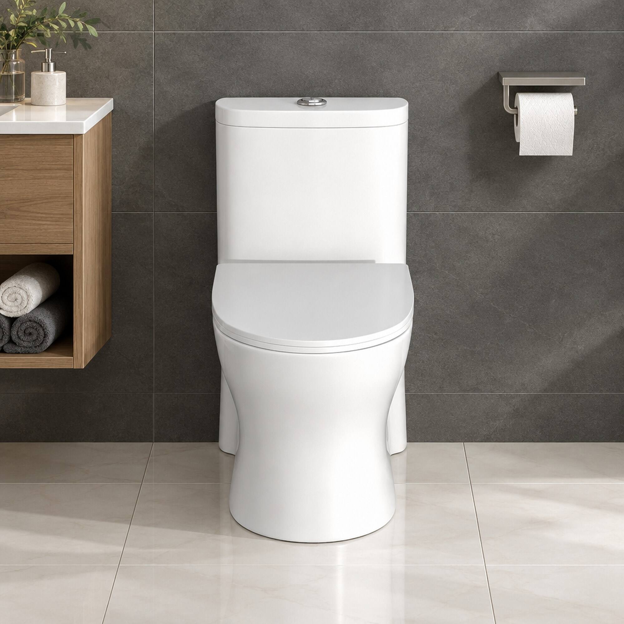 RYHNUYNE One Piece Toilet, Dual Flush 12 Inch Rough In Soft Closing ...