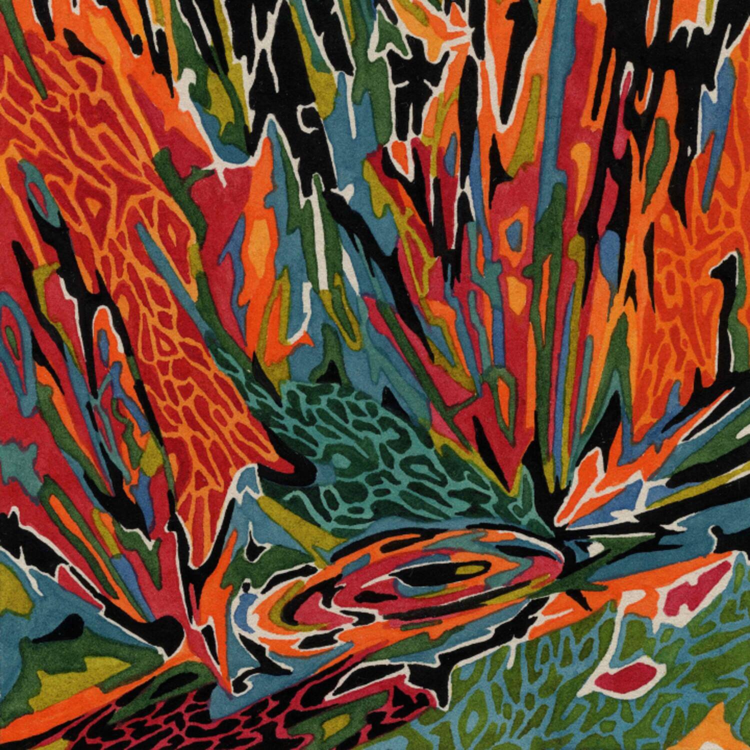 Akusmi Terra Incognita VINYL LP - Best Buy