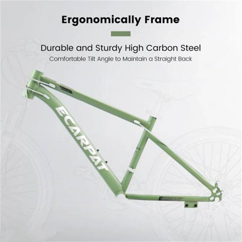 Ergonomically Frame  
Durable and Sturdy High Carbon Steel  
Comfortable Tilt Angle to Maintain a Straight Back  
ECARPAT