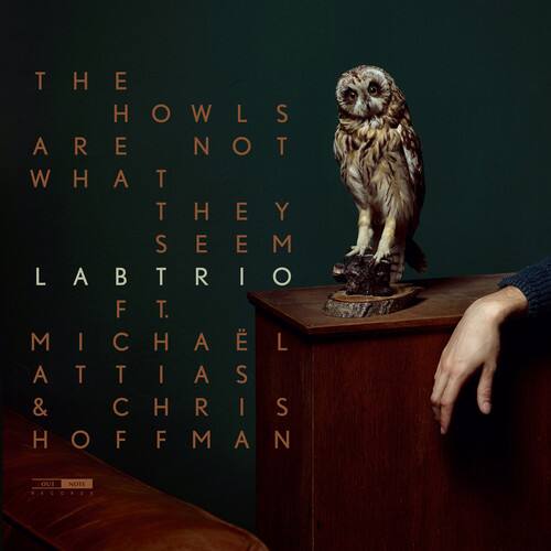 THE HOWLS ARE NOT WHAT THEY SEEM LABTRIO  
MICHAEL ATTIAS & CHRIS HOFFMAN  
OUT NOW RECORDS
