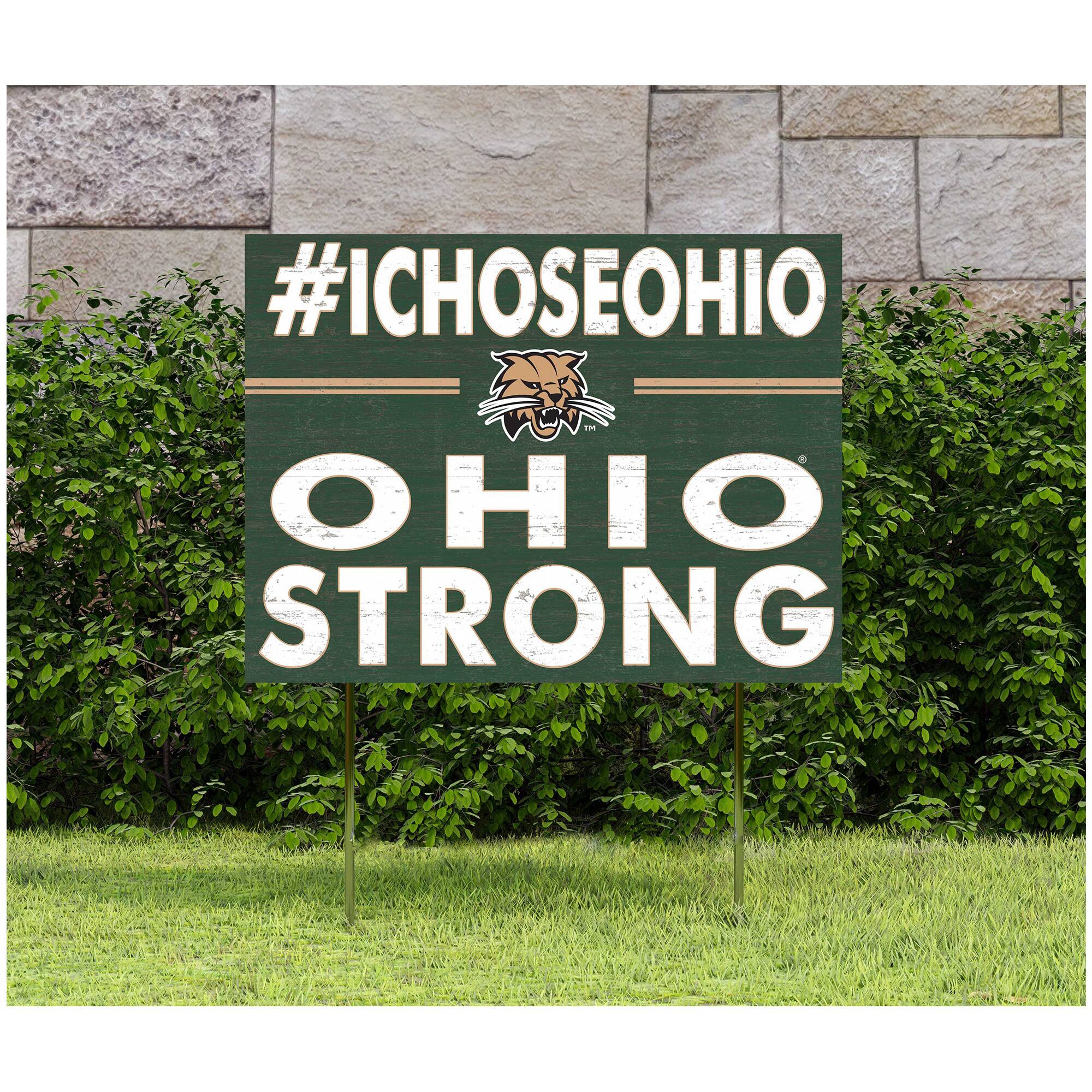 #ICHOOSEOHIO  
OHIO STRONG