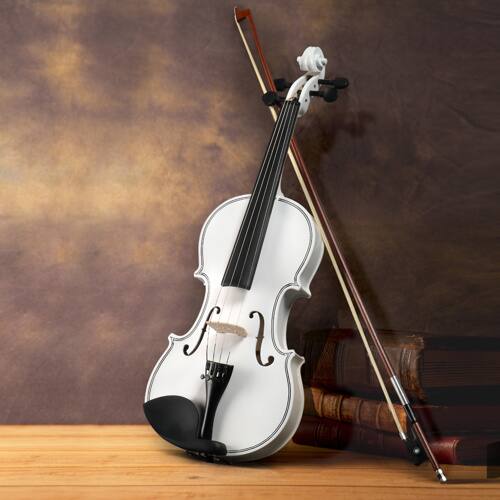 Back. Winado - Full Size 4/4 Violin Set for Adults Beginners Students with Hard Case,Violin Bow,Shoulder Rest,Rosin,Extra Strings - White.