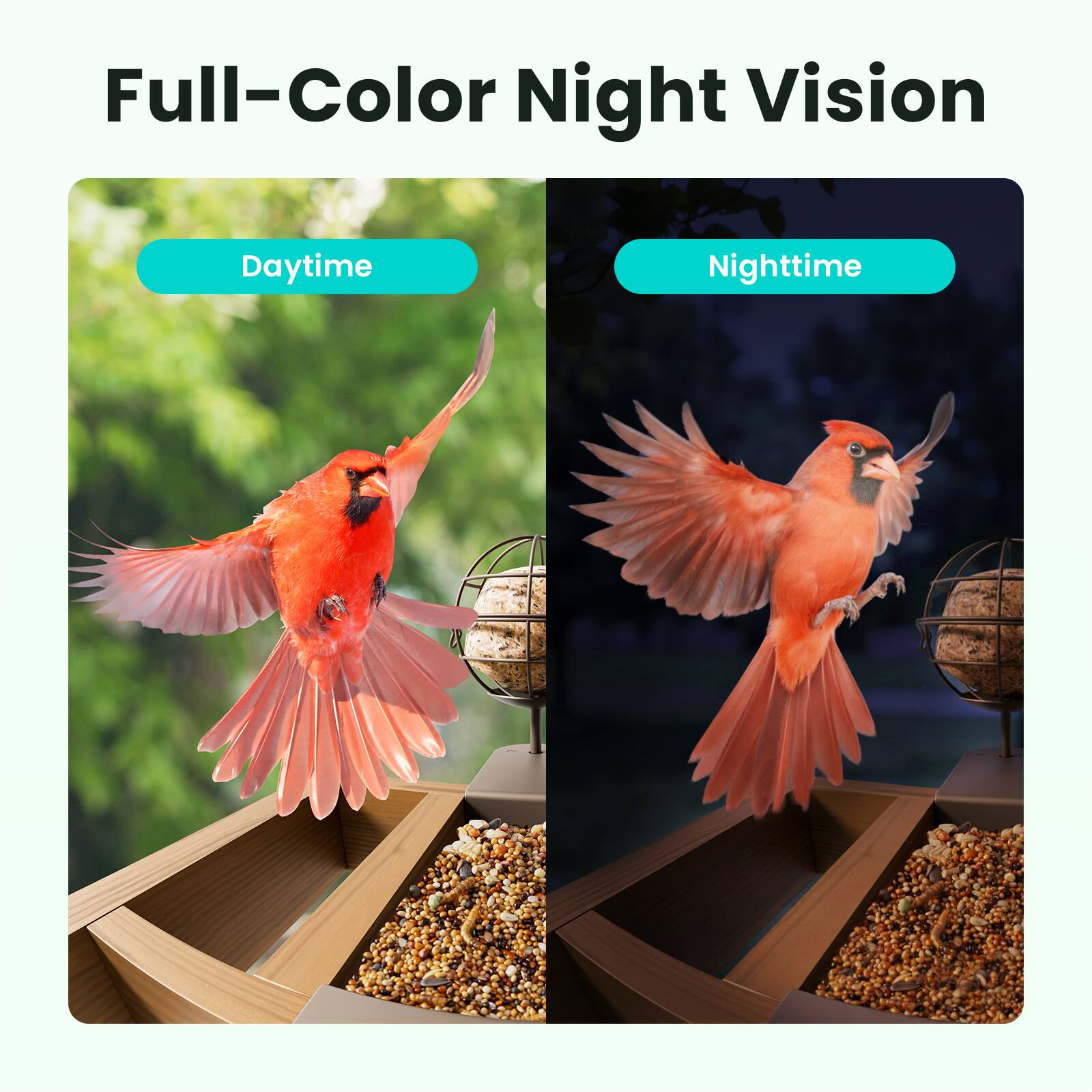 Full-Color Night Vision

Daytime

Nighttime