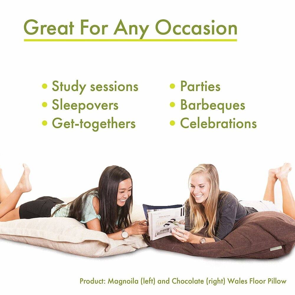 Great For Any Occasion

- Study sessions
- Sleepovers
- Get-togethers
- Parties
- Barbeques
- Celebrations

Product: Magnolia (left) and Chocolate (right) Wales Floor Pillow