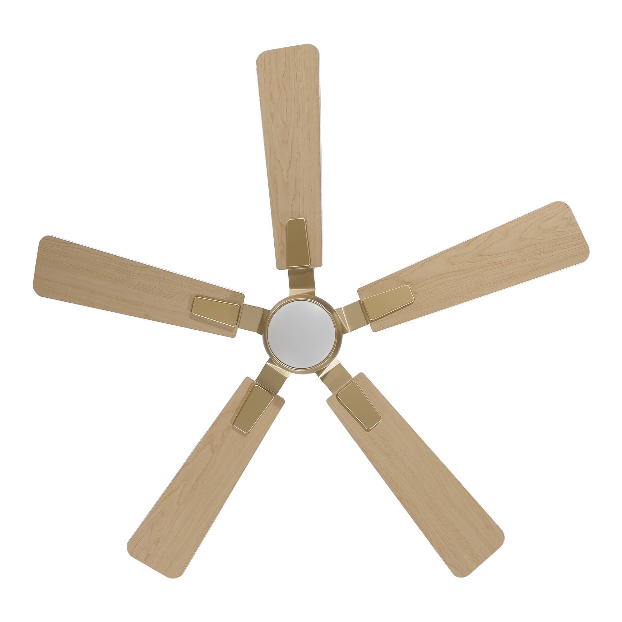 Alt View 6. Vaczon - Vaczon 52" Modern Smart Gold Ceiling Fan with LED Light and Remote, APP Control - Gold.