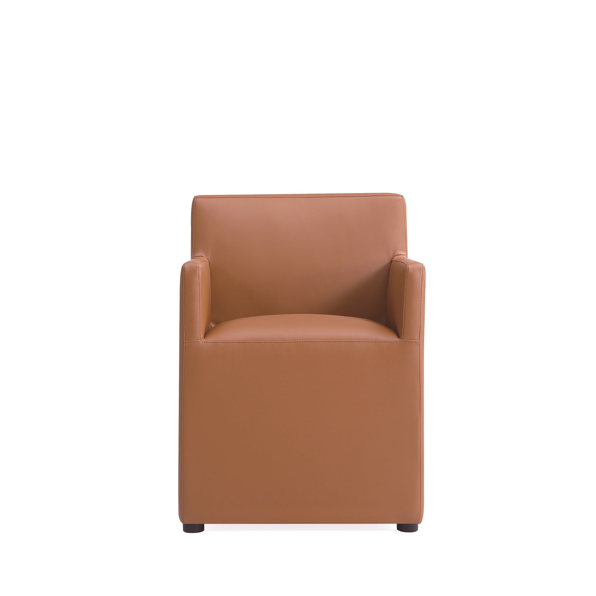 Saddle Brown