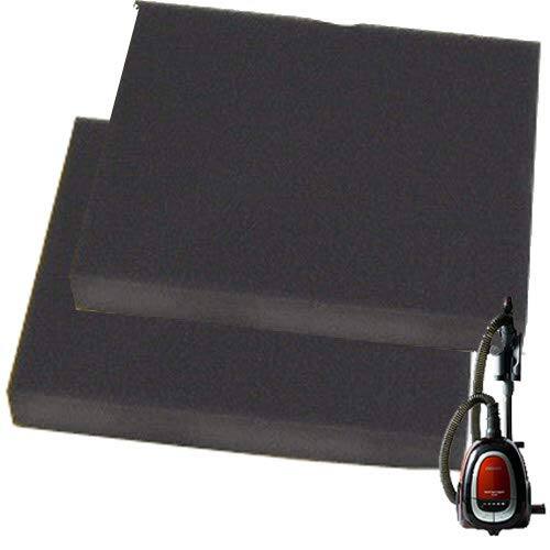 Left. BISSELL - Vacuum Filters Part #1602085 2 Pack.