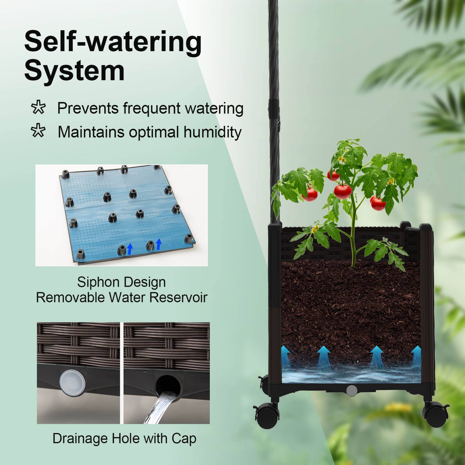Self-watering System

- Prevents frequent watering
- Maintains optimal humidity

Siphon Design  
Removable Water Reservoir

Drainage Hole with Cap