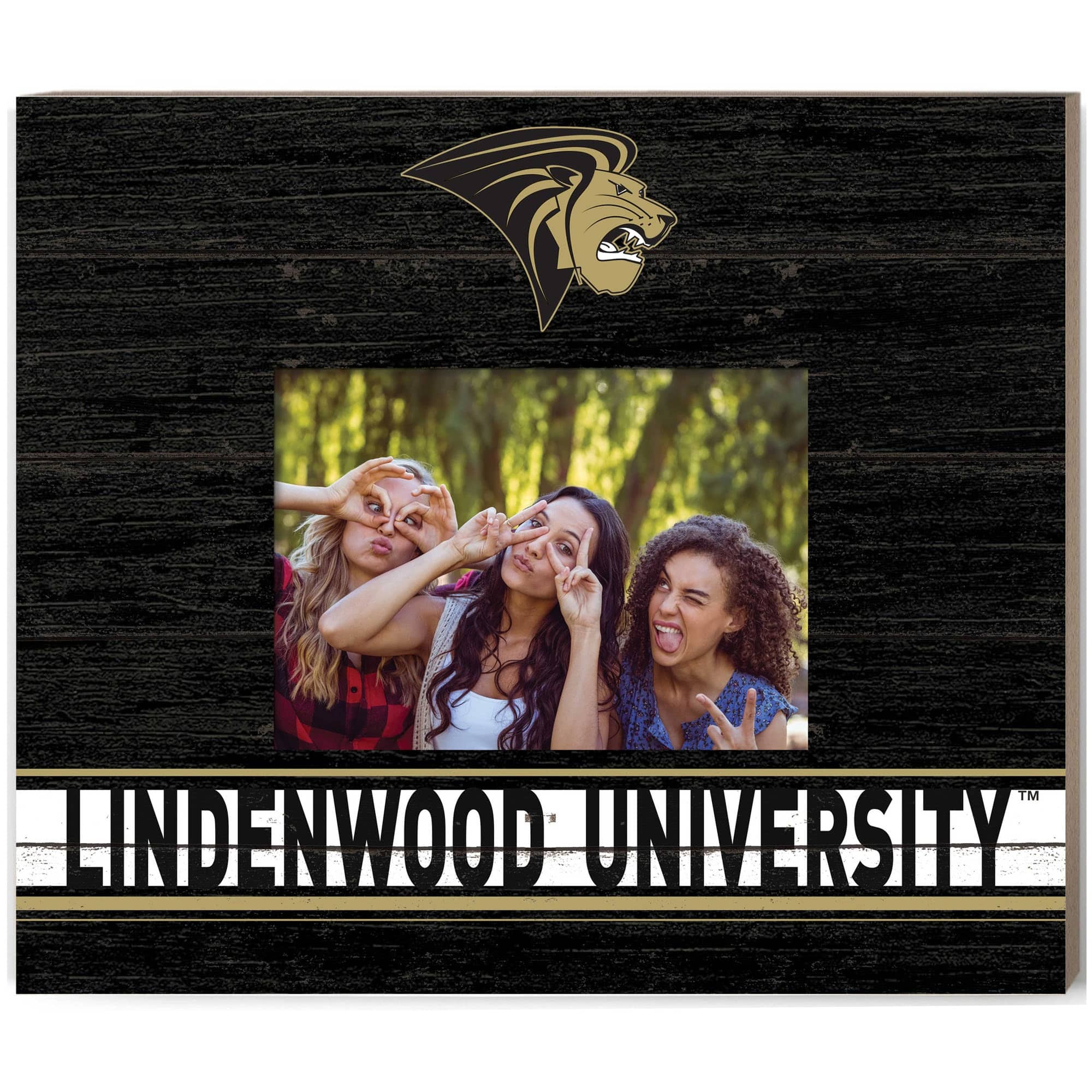 Jardine - Lindenwood Lions 11'' x 13'' Team Spirit Scholastic Picture Frame - Black price history on PriceWatchPro