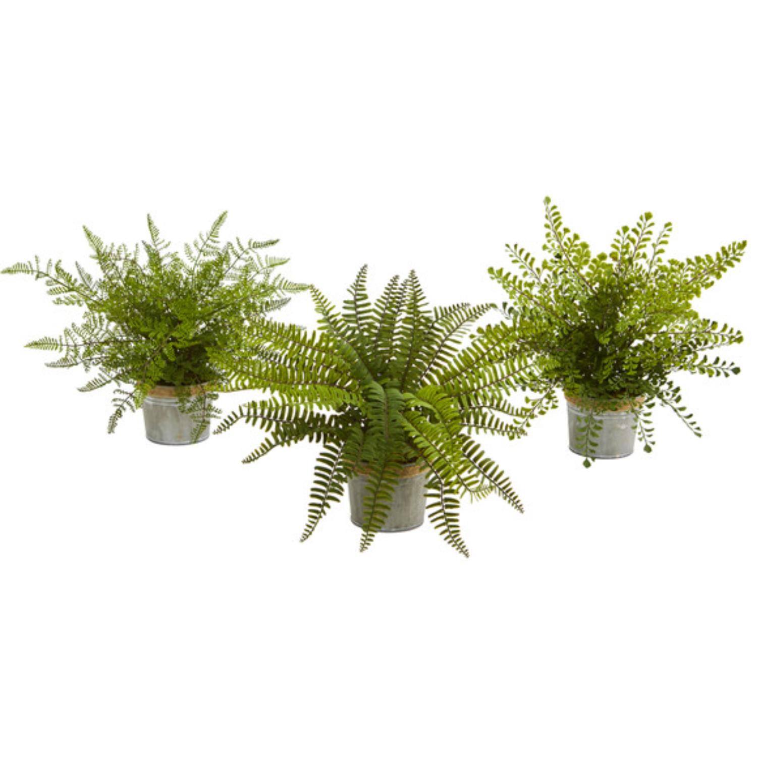 Front. BreeBe - 14" Fern Pot (Set of 3) - Green.