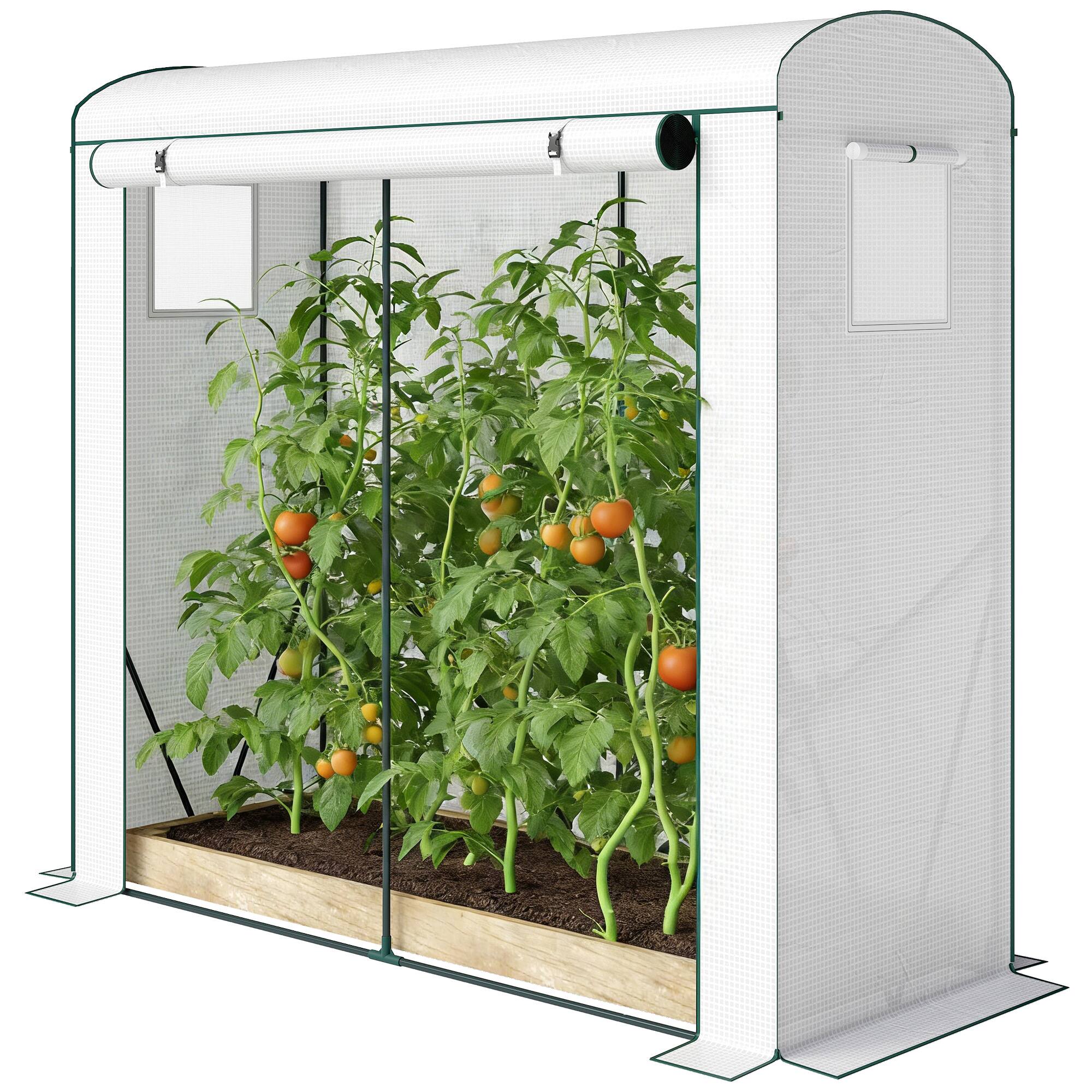 Front. Outsunny - Greenhouse, Portable Greenhouse with Roll-Up Door and 2 Mesh Windows, PE Cover.
