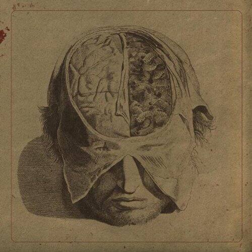 Front. Insects [LP].