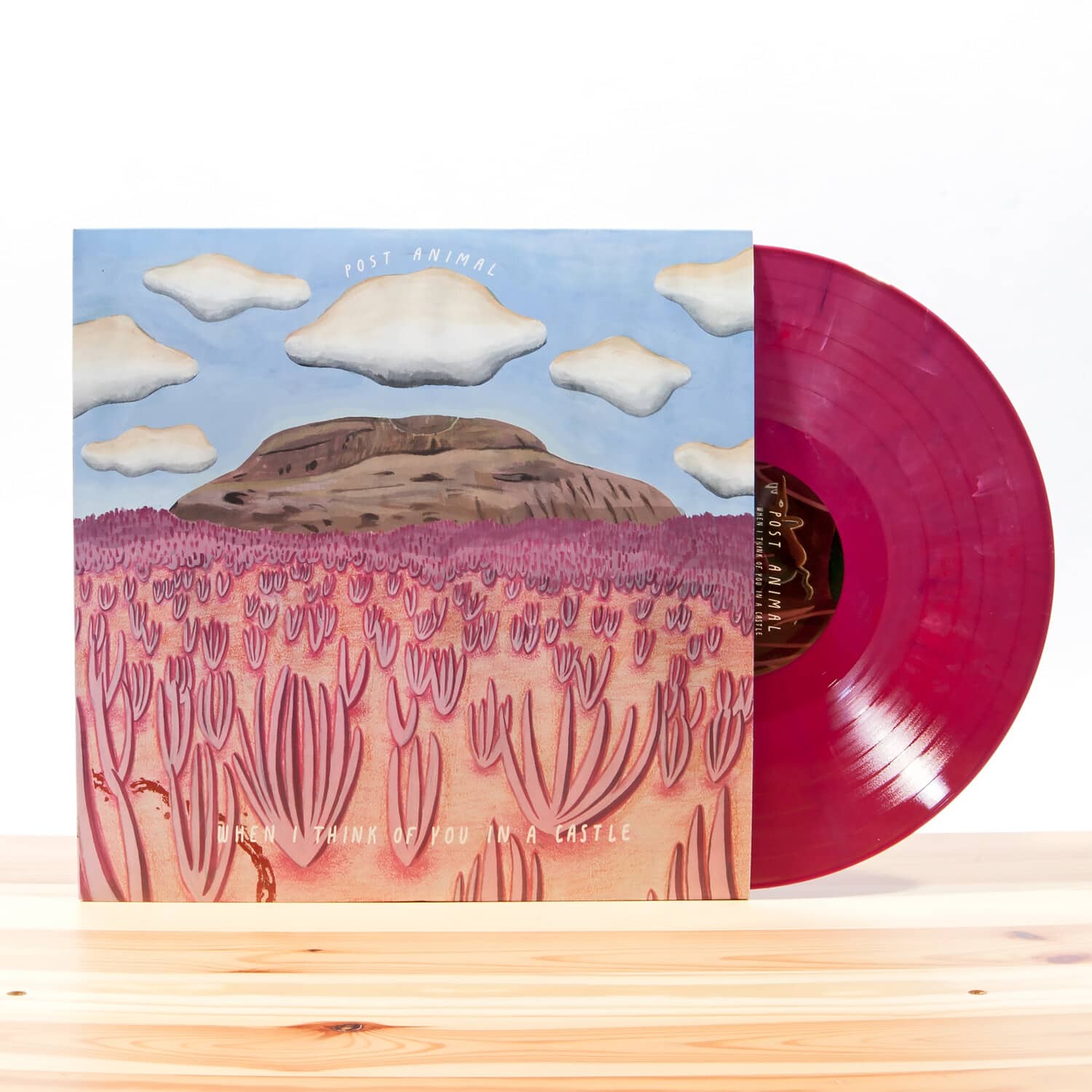 Post Animal - When I Think Of You In A Castle (   - VINYL LP price history on PriceWatchPro