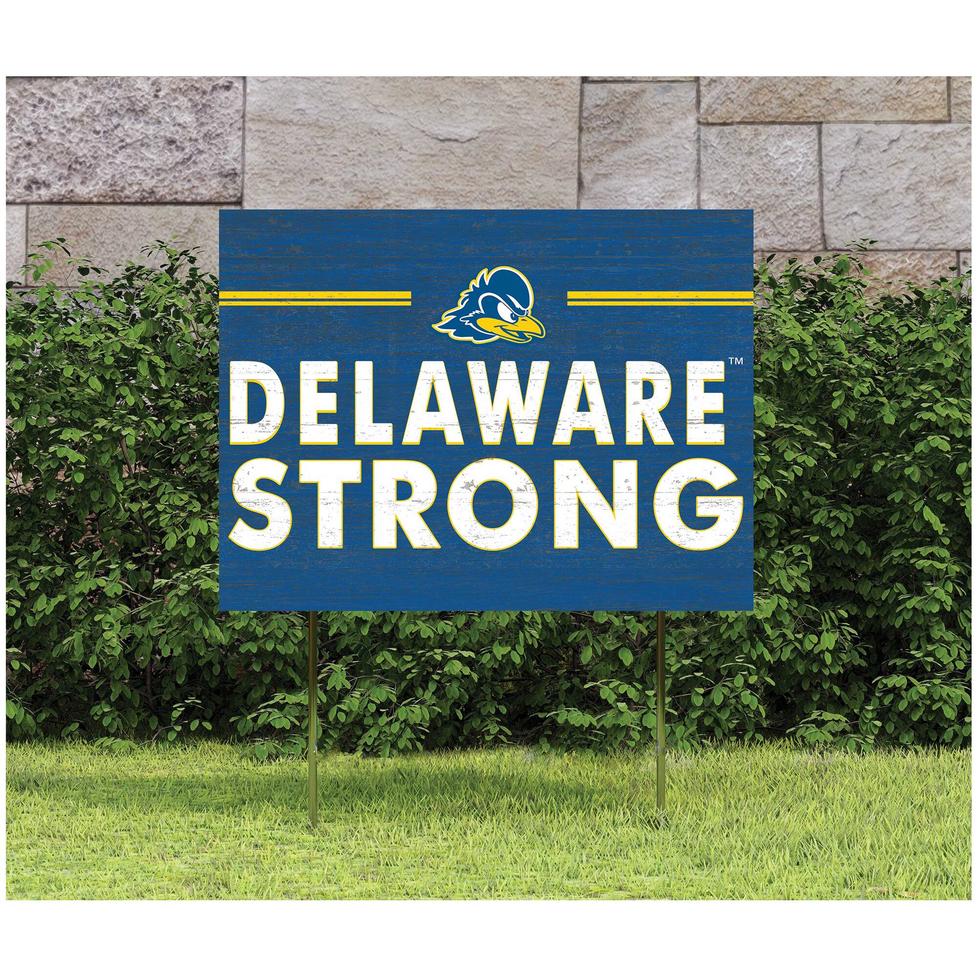 DELAWARE STRONG