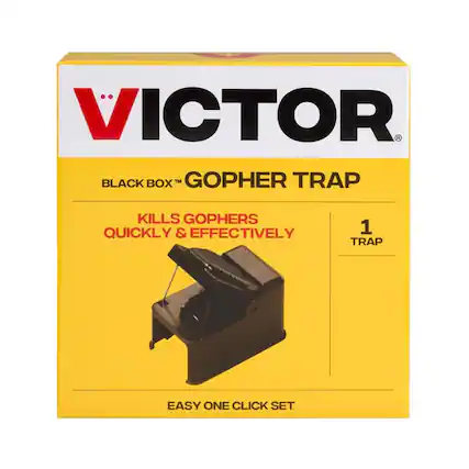 VICTOR BLACK BOX GOPHER TRAP
KILLS GOPHERS QUICKLY & EFFECTIVELY
1 TRAP
EASY ONE CLICK SET
