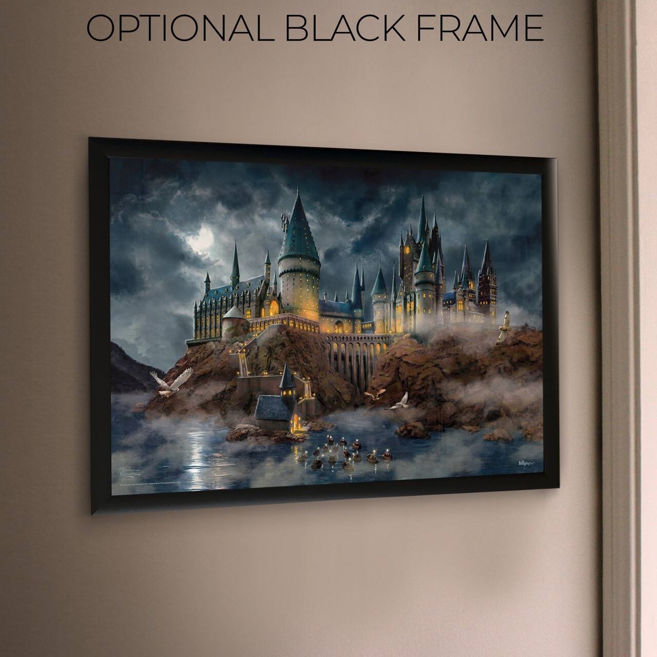 OPTIONAL BLACK FRAME