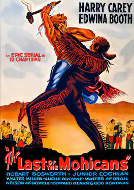 The Last of the Mohicans - DVD