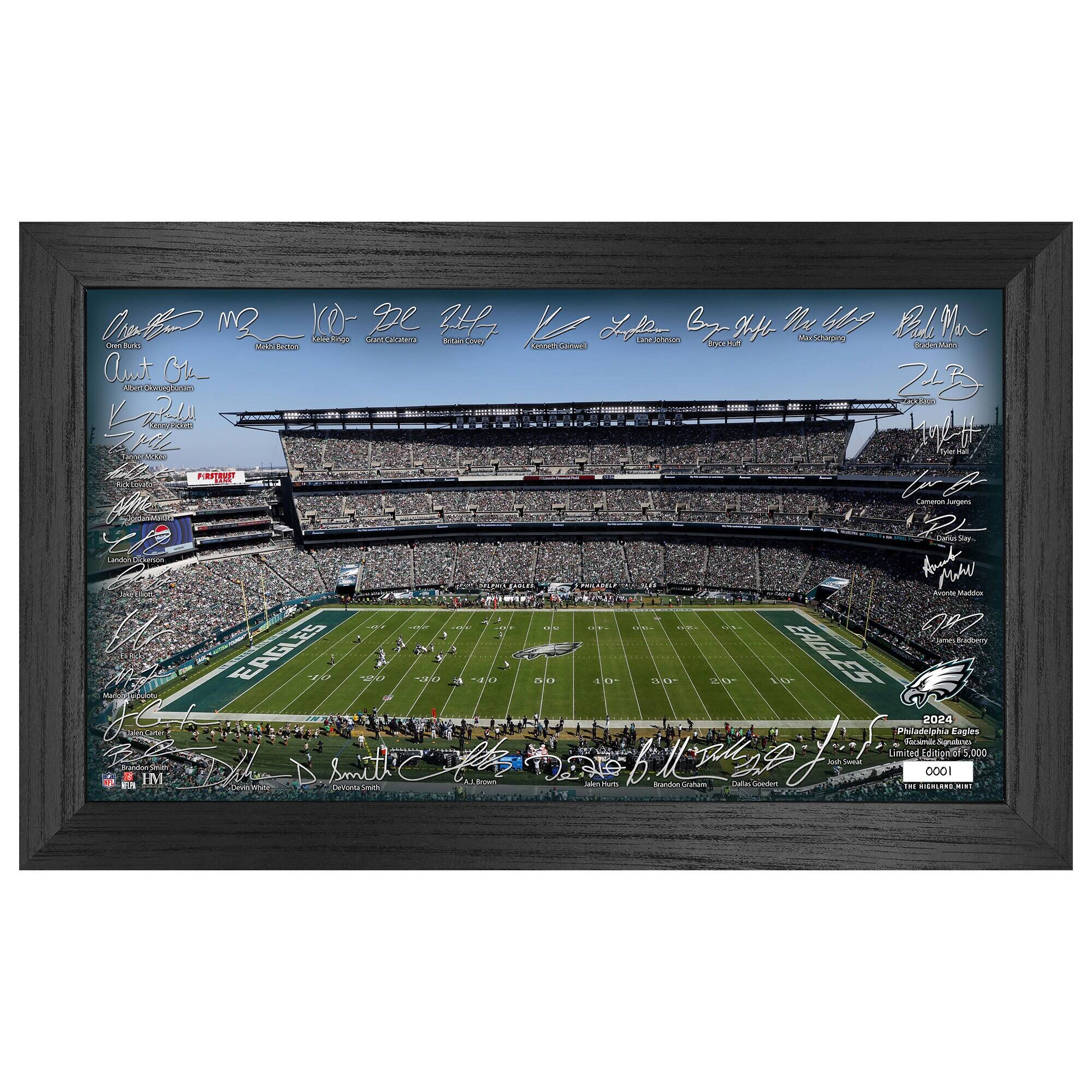 Philadelphia Eagles 12" x 20" 2024 Signature Gridiron Panoramic Framed Photo