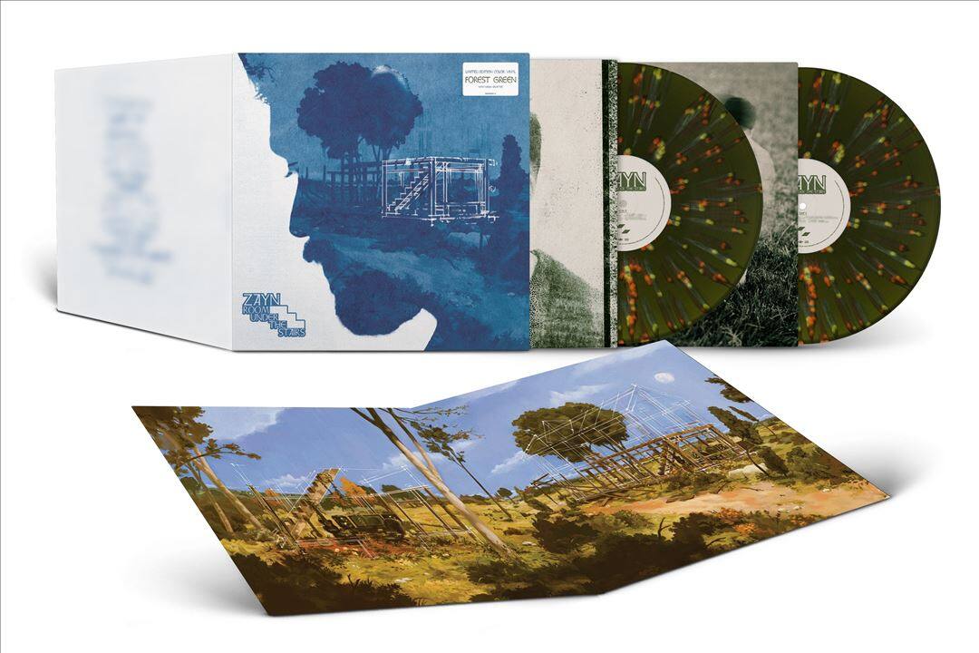 ROOM UNDER THE STAIRS [Forest Green & "Neon" Splatter Vinyl] [LP] [Explicit Content]