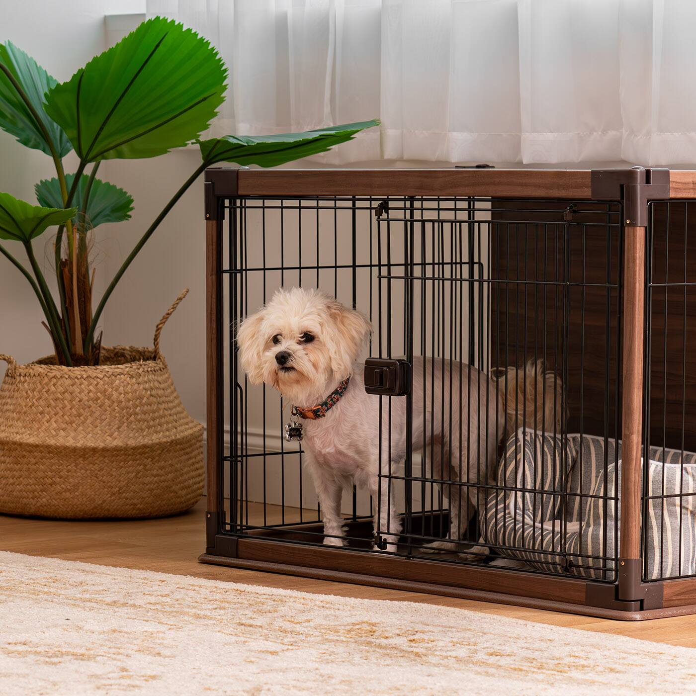 IRIS USA Wire Open Dog Crate Pet Playpen - Best Buy