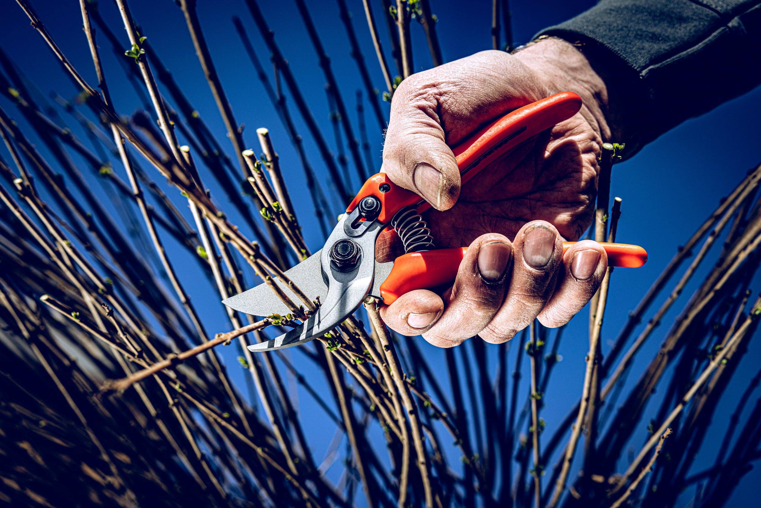 Back. JETRANSPORT - Bypass Pruner Garden Tools 14.104 | Use As Pruners  Hedge Trimmer Shears Pruning For Gardening Roses Twigs Bra - Default.