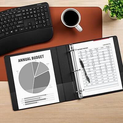 ANNUAL BUDGET