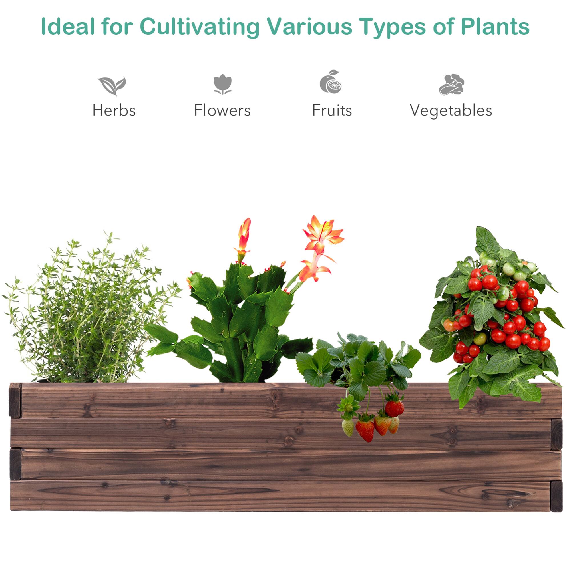 Ideal for Cultivating Various Types of Plants: Herbs, Flowers, Fruits, and Vegetables
