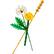 Angle. LEGO - Botanicals Field Flowers Building Kit, Valentine's Day Gift, 30701.