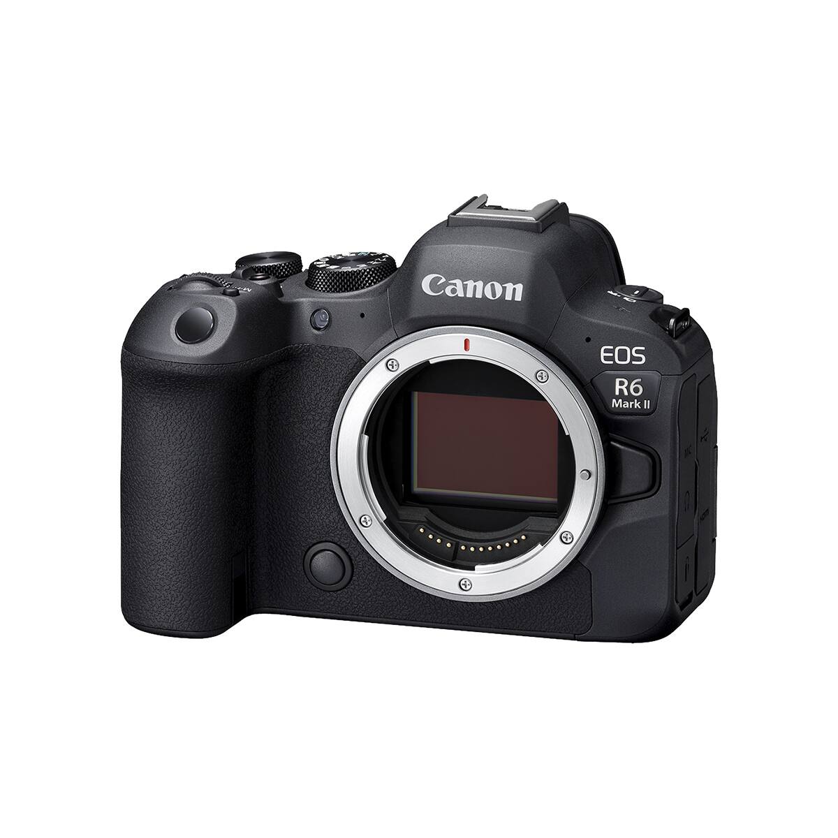 Canon EOS R6 Mark II