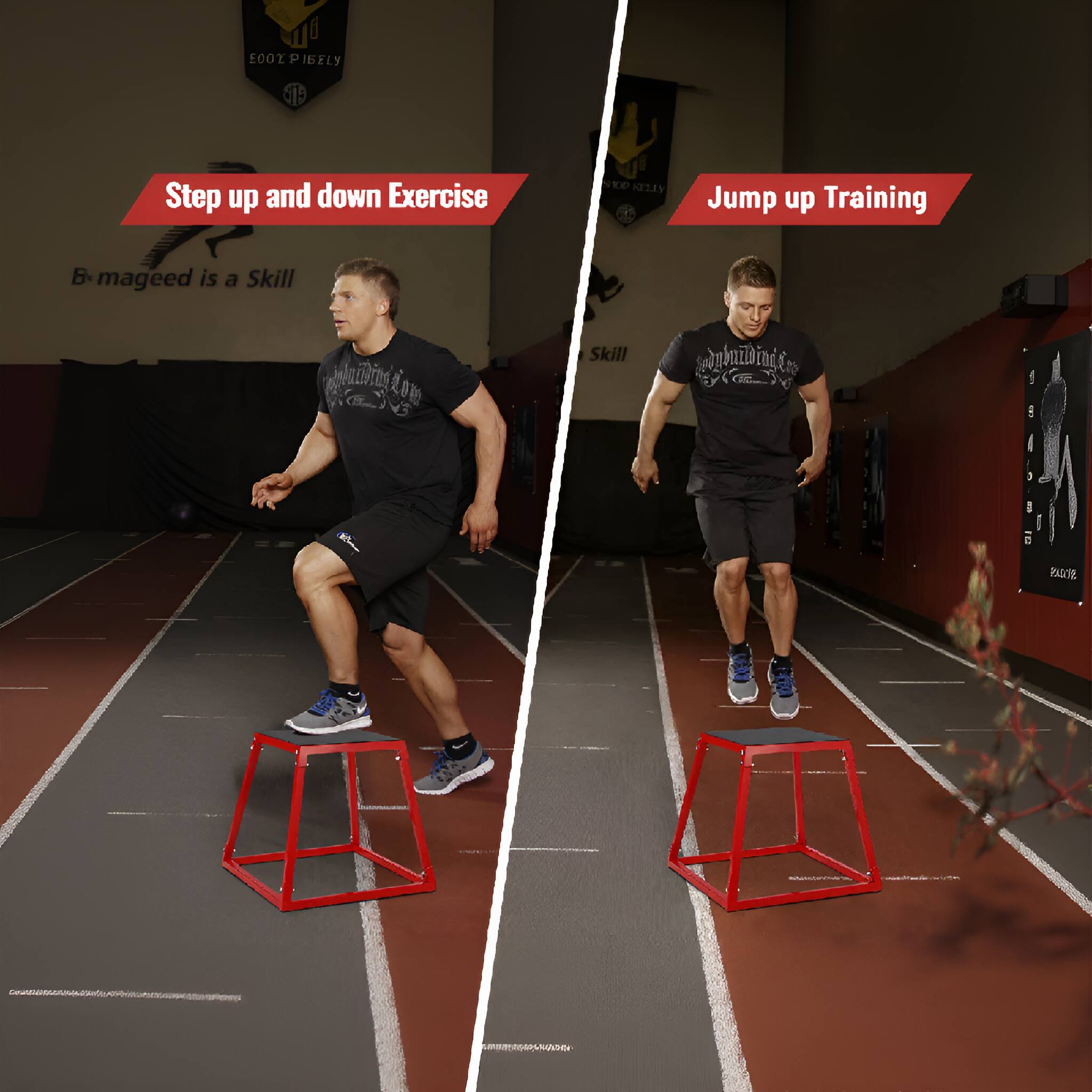 Step up and down Exercise  
Jump up Training  

B-mageed is a Skill