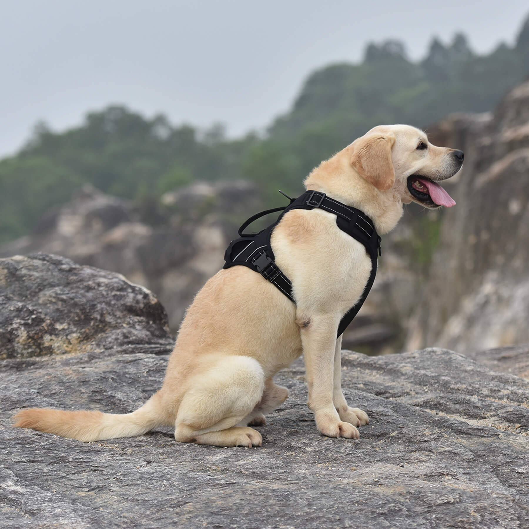 Alt View 5. PET MARVEL - PET MARVEL High-Perfomance Tactical Dog Harness with Poop Bag Holder, No Pull Front Clip & Metal Buckles, Black S - Black.