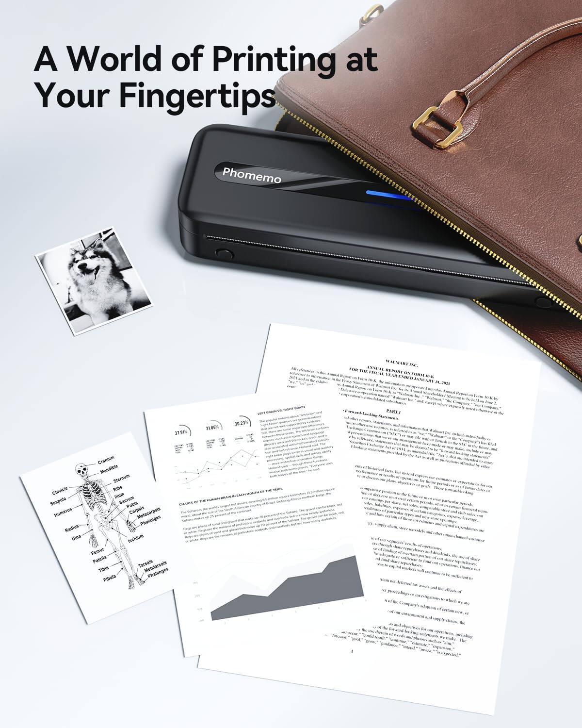 A World of Printing at Your Fingertips

Phomemo

Cranium
Mandible
Sternum

Clavicle
Scapula
Humerus
Radius
Ulna
Femur
Patella
Tibia
Fibula
Phalanges

Rib
Carpal
Metacarpal
Phalanges

Ischium
Femur
Patella
Tibia
Fibula
Phalanges

Annual Report for the Fiscal Year Ended April 30, 2021

WALMART INC.

FOR THE FISCAL YEAR ENDED APRIL 30, 2021

PART I

CHARTS OF THE HUMAN BRAIN IN EACH MONTH OF THE YEAR

The brain is the most complex organ in the human body, and it is responsible for controlling all of our thoughts, emotions, and actions. It is made up of billions of neurons that communicate with each other through electrical and chemical signals. The brain is divided into several regions, each with its own specific functions. The cerebral cortex is the outer layer of the brain and is responsible for processing sensory information, controlling movement, and facilitating higher-level cognitive functions such as language, memory