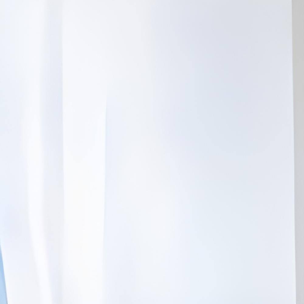 Left. Commonwealth Home Fashions - Commonwealth Outdoor Decor Escape Voile Hook and Loop Tab Curtain Panel - 54x108" - White - White.