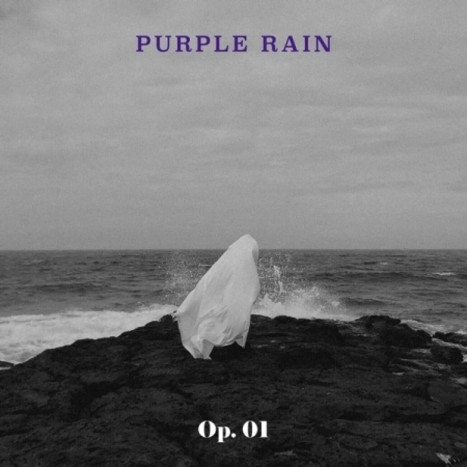 Purple Rain - Op. 01 (incl. Booklet)   - COMPACT DISCS [CD] price history on PriceWatchPro