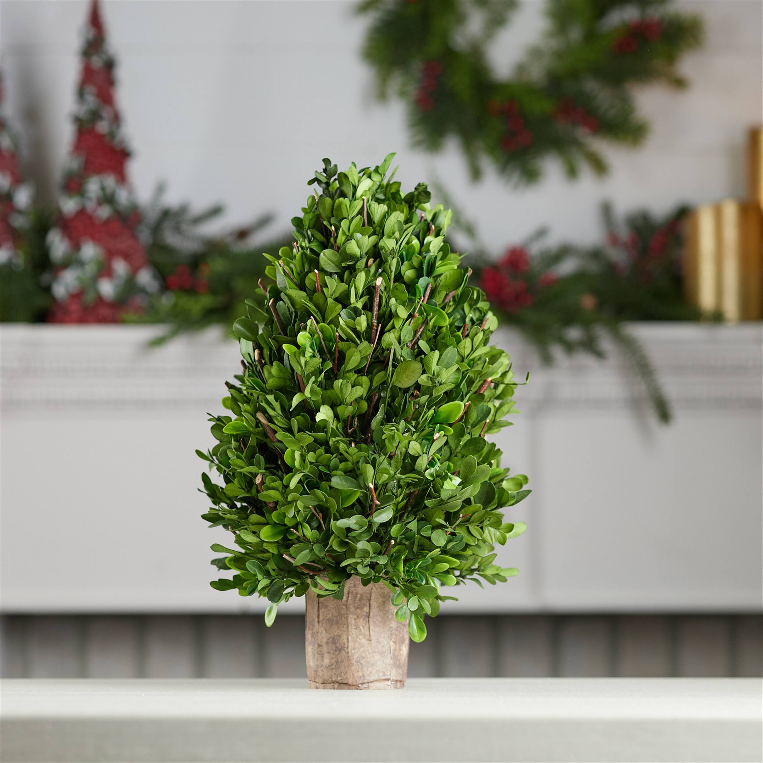 Angle. BreeBe - Natural Boxwood Foliage Topiary 15.5"H - Green, Brown.