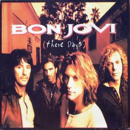 Bon Jovi - These Days - VINYL LP