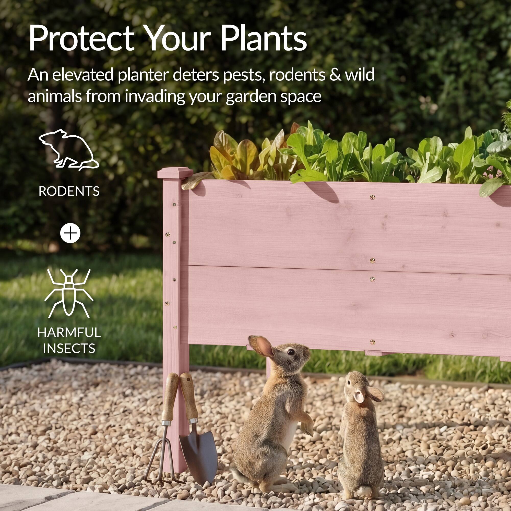 Protect Your Plants

An elevated planter deters pests, rodents & wild animals from invading your garden space

RODENTS + HARMFUL INSECTS