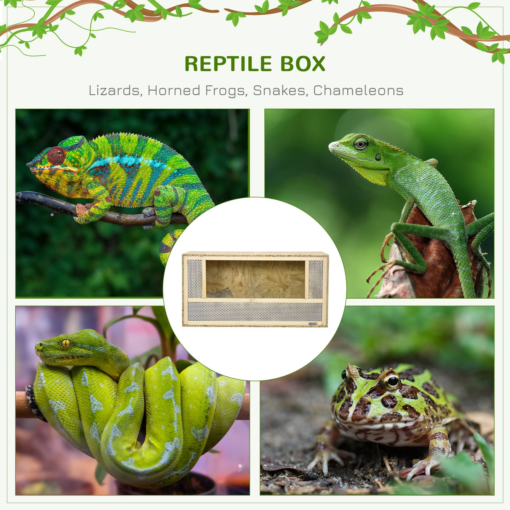 REPTILE BOX  
Lizards, Horned Frogs, Snakes, Chameleons