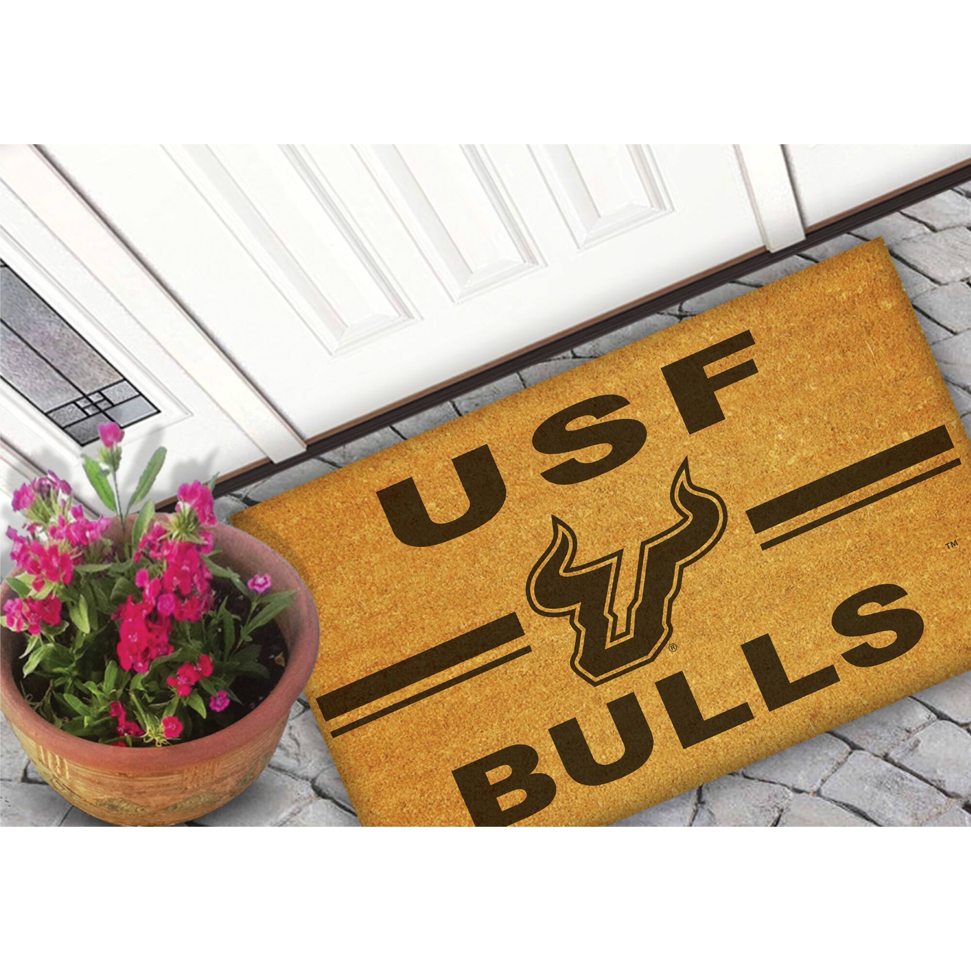 USF BULLS