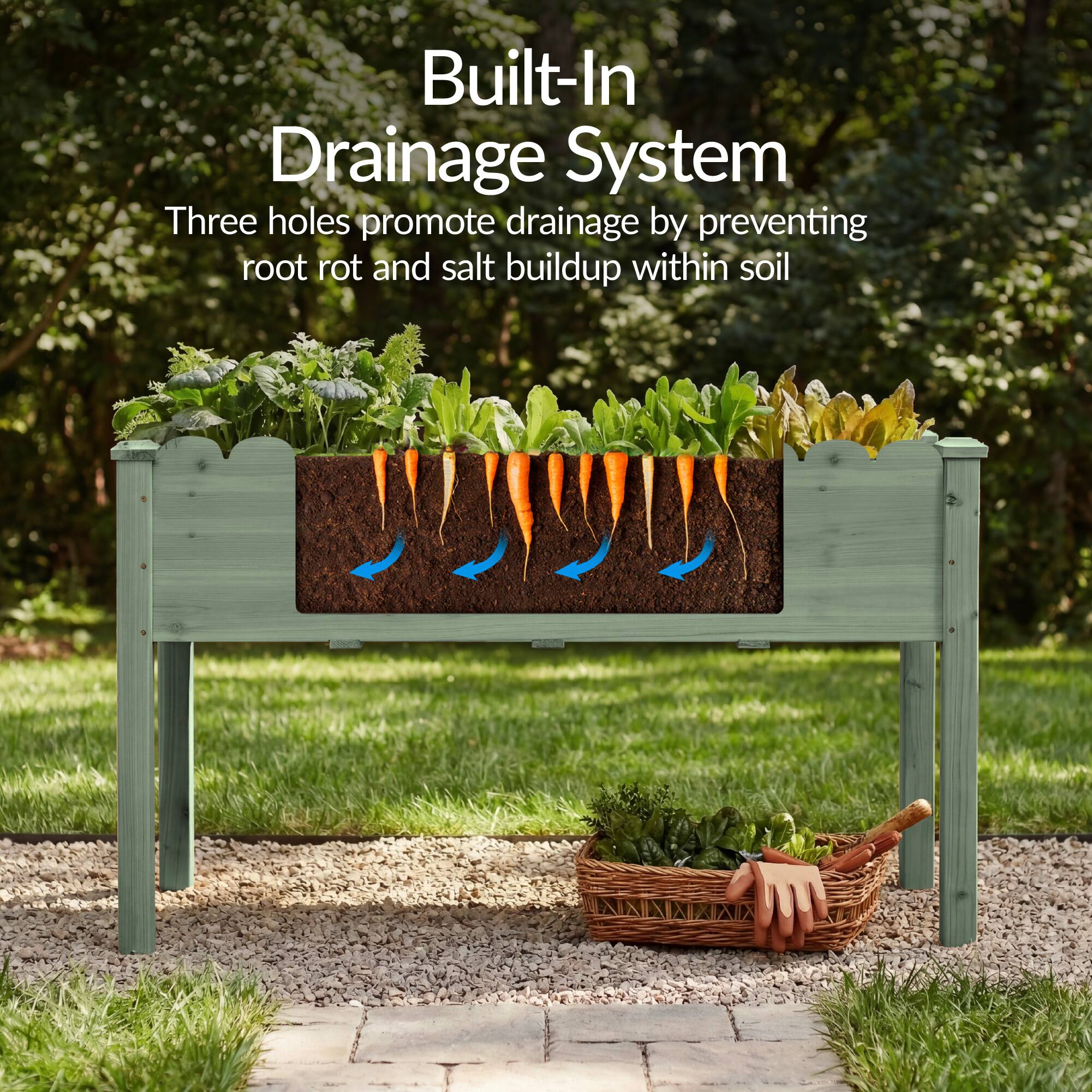 Built-In Drainage System  
Three holes promote drainage by preventing root rot and salt buildup within soil