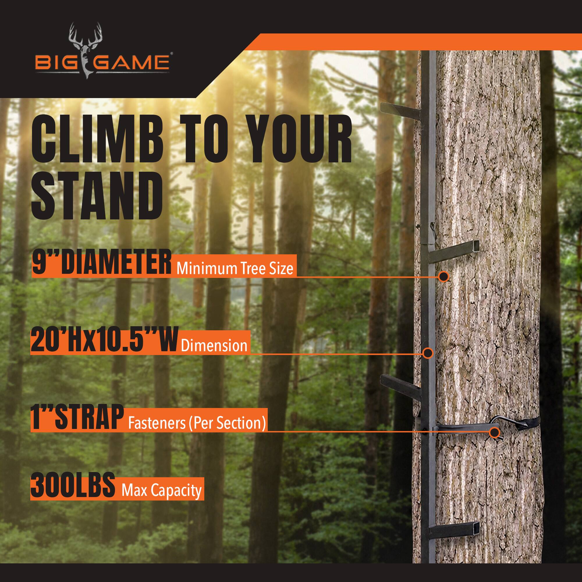BIG GAME  
CLIMB TO YOUR STAND  
9" DIAMETER Minimum Tree Size  
20"Hx10.5"W Dimension  
1" STRAP Fasteners (Per Section)  
300LBS Max Capacity