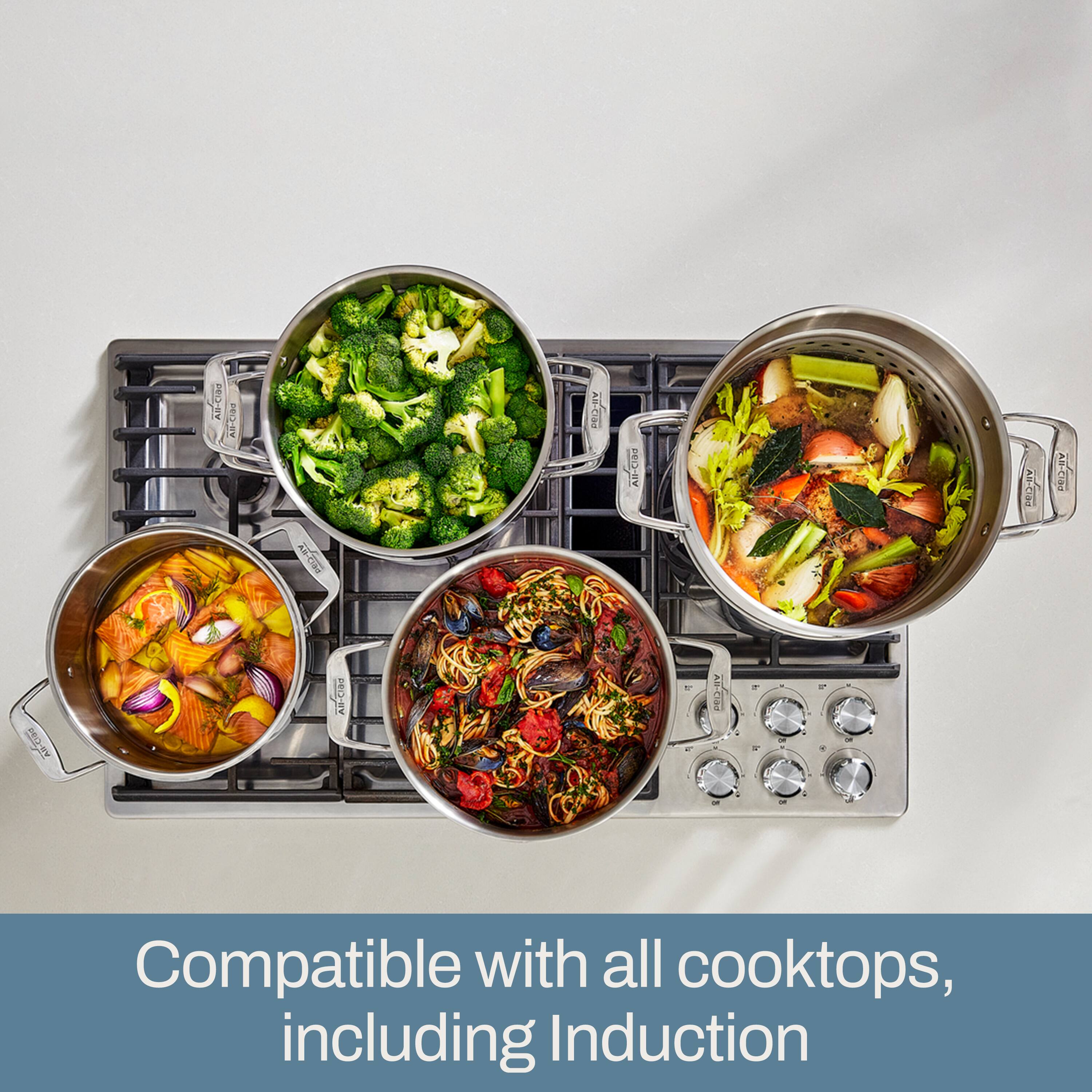 All-Clad  
All-Clad  
All-Clad  
All-Clad  
All-Clad  
All-Clad  
VII-CIDA  
All-Clad  
VII-CION  
Compatible with all cooktops, including Induction